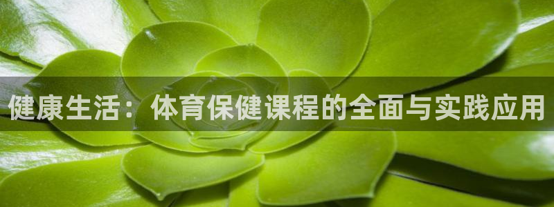 健康生活：体育保健课程的全面与实践应用
