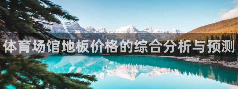 体育场馆地板价格的综合分析与预测
