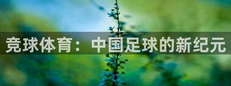 竞球体育：中国足球的新纪元