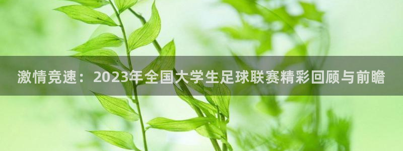 激情竞速：2023年全国大学生足球联赛精彩回顾与前瞻