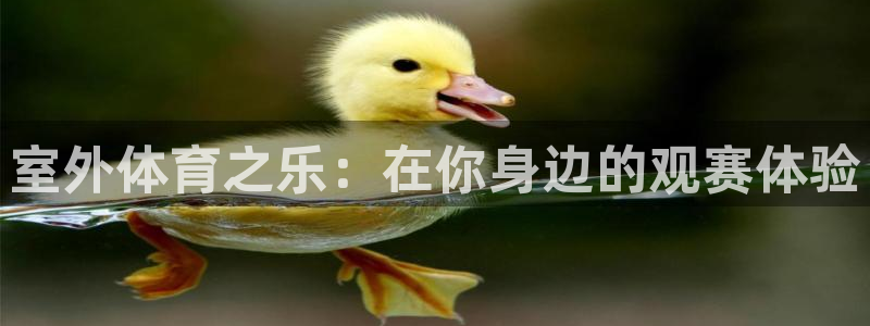 九球直播安卓版下载