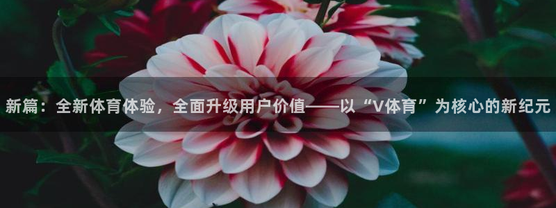 九球直播高清免费观看：新篇：全新体育体验，全面升级用户价值——以“V体育”为核心的新纪元