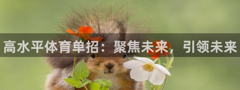 九球体育直播app官方版下载：高水平体育单招：聚焦未来，引领未来