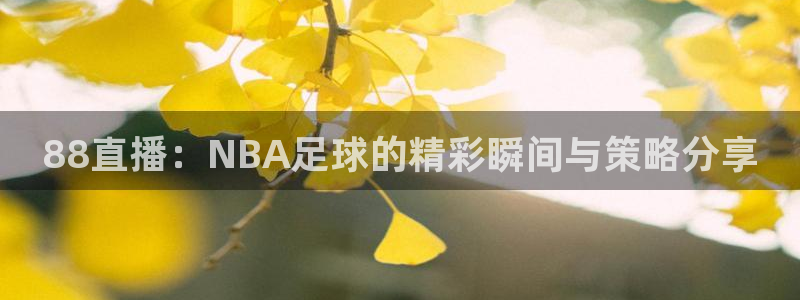 九球直播9qzb：88直播：NBA足球的精彩瞬间与策略分享
