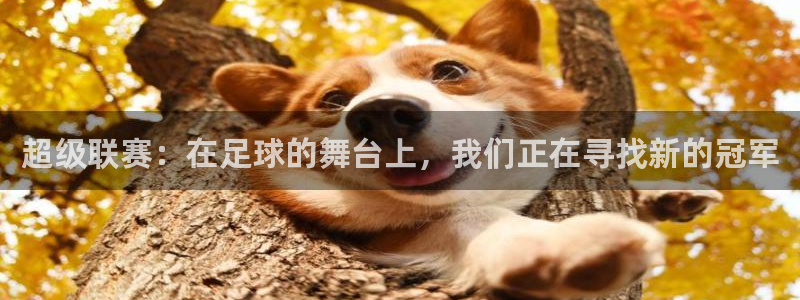 nba免费九球直播：超级联赛：在足球的舞台上，我们正在寻找新的冠军